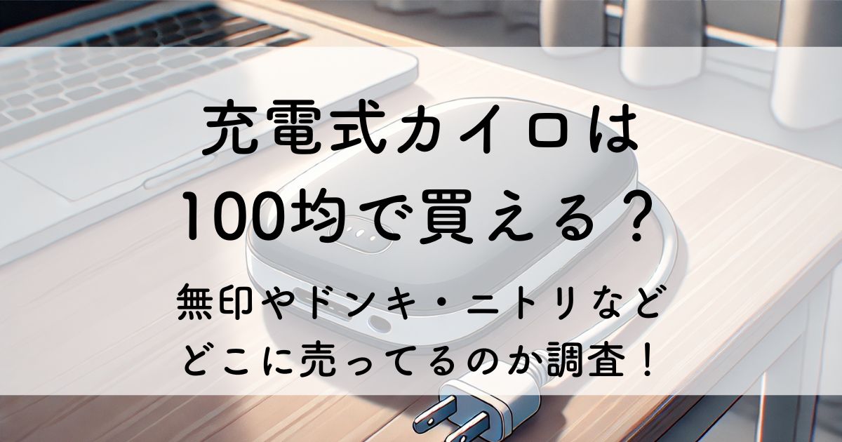 充電式カイロ 100均